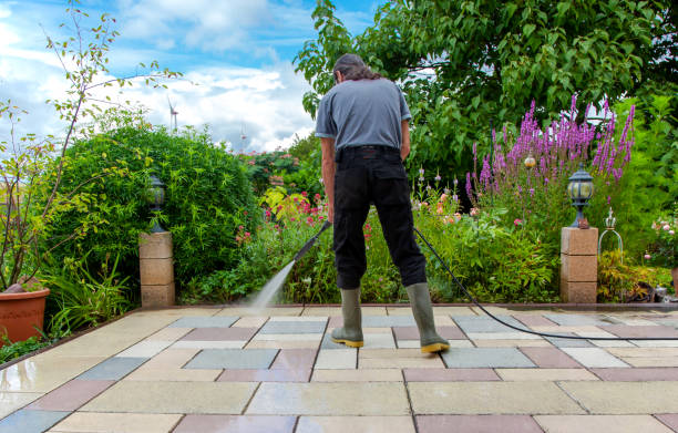 Best Winterizing Services  in Newport, SC
